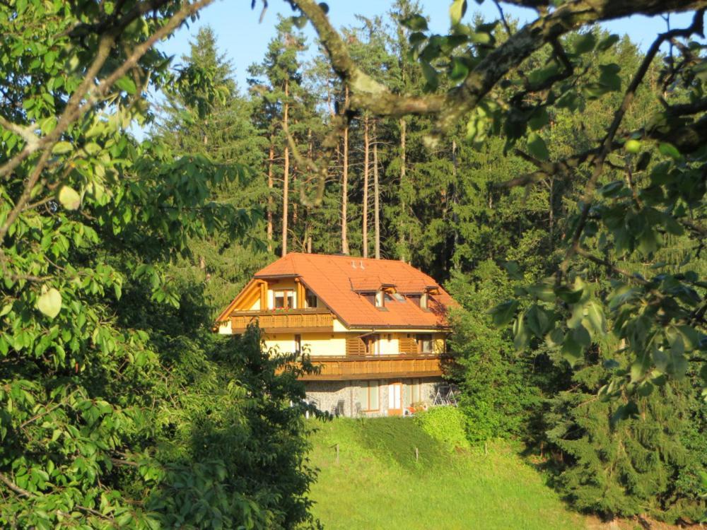 Gasthaus Country House Apat Sostanj Exterior foto