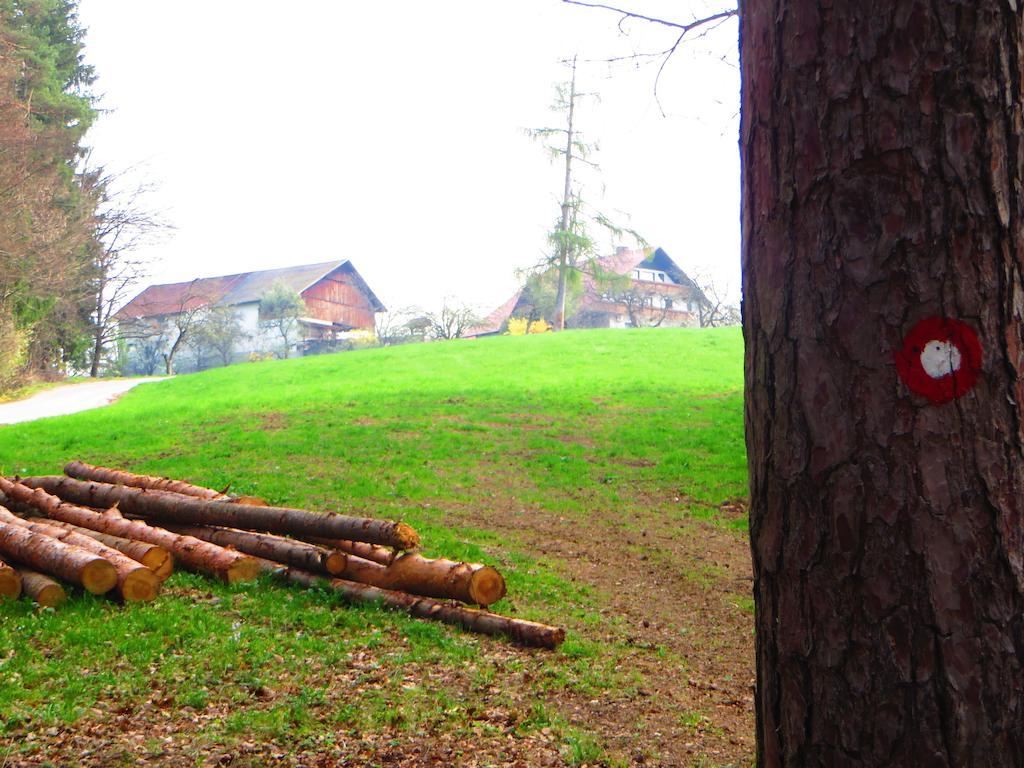 Gasthaus Country House Apat Sostanj Exterior foto