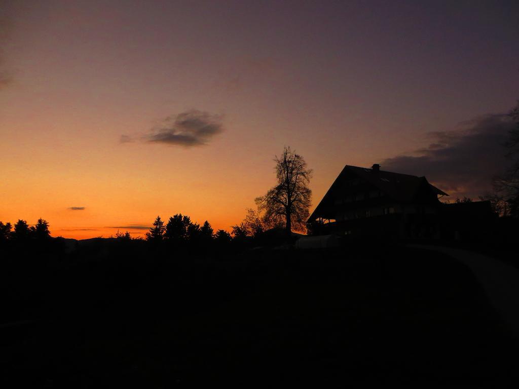 Gasthaus Country House Apat Sostanj Exterior foto